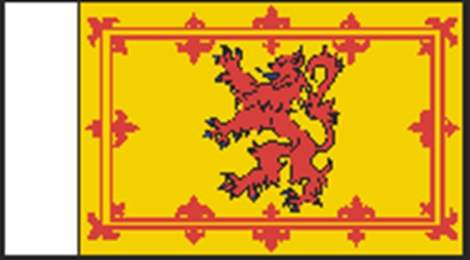 BECC Scotland Royal Banner 10mm