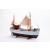 Billing Boats Mary Ann B472  Model Boat Kit - view 2
