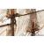 Occre Montanes 74 Gun Ship of the Line 1:70 Scale Model Ship Kit - view 6