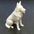 German Shepherd Dog 50mm - view 1