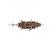 Amati Pirate Ship First Step Starter Kit - view 4