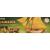 Sergal HMS Jamaica 14 Gun Sloop 1710 1:45 - view 2