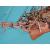 Caldercraft HMS Cruiser 1797 1:64 Scale - view 2