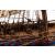 Billing Boats Wasa B490 Model Ship Kit - view 2