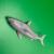 Shark 70mm - view 1