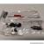 Mantua Aiace geared motor kit - view 3